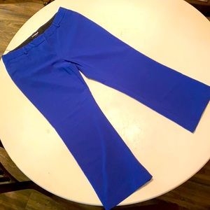 Bright Blue Express Columnist Pant (size 12) short